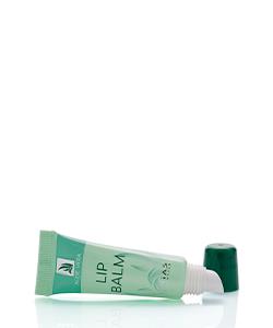 Aloe Vera Lippenbalsam 8 ml – Pflege für spröde Lippen