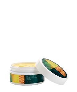 Aloe Vera Regenerationscreme 250 ml – Ganzkörpercreme